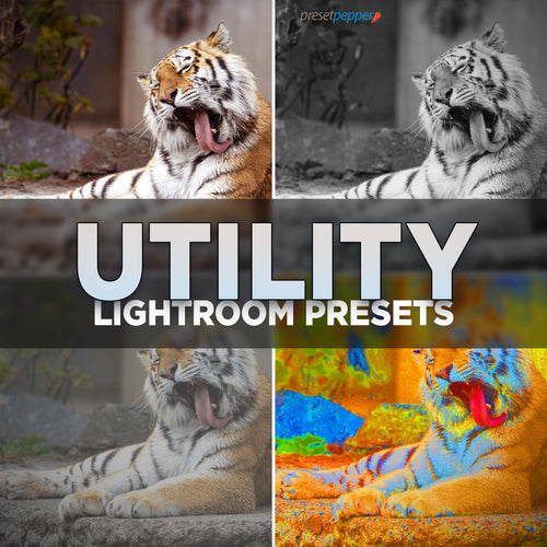 Utility LIghtroom Presets